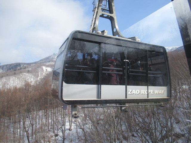 IMG_5110.JPG