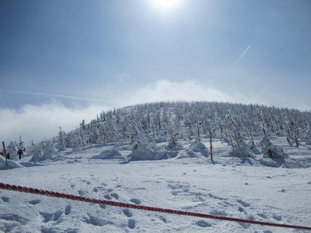 IMG_5145.JPG