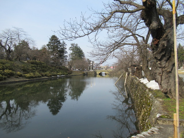 IMG_5190.JPG